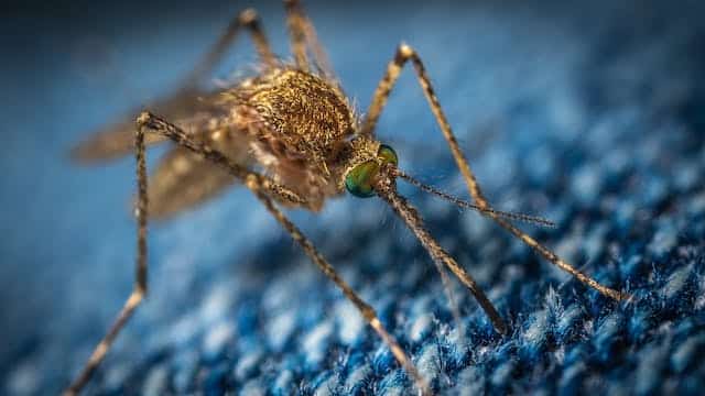 Should I buy malaria tablets before I travel or when I arrive in the country?