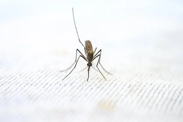 Anti-malaria tablet side effects