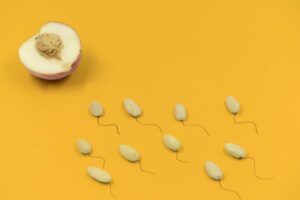 What happens to the sperm that don't fertilise the egg?