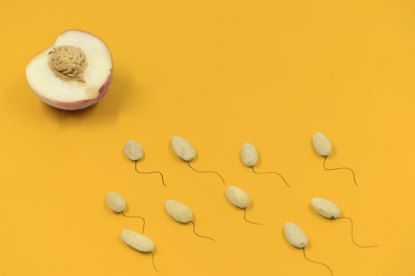 What happens to the sperm that don't fertilise the egg?