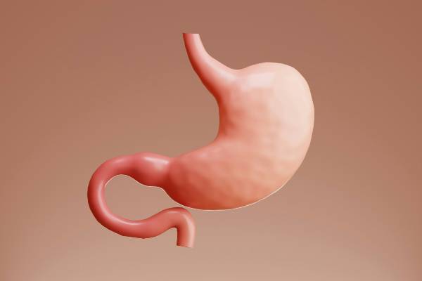 how does mounjaro work | image of pink stomach against light pink background